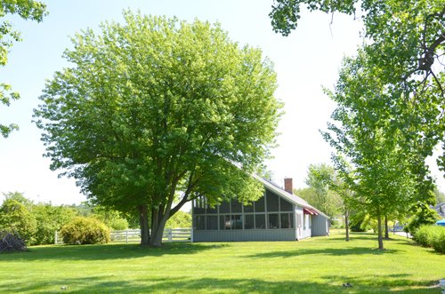 Property photo 79 - 2 Acres of Prime Lakefront Real Estate Auction with Home, Peninsula and Private Island
